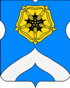 Богородское район